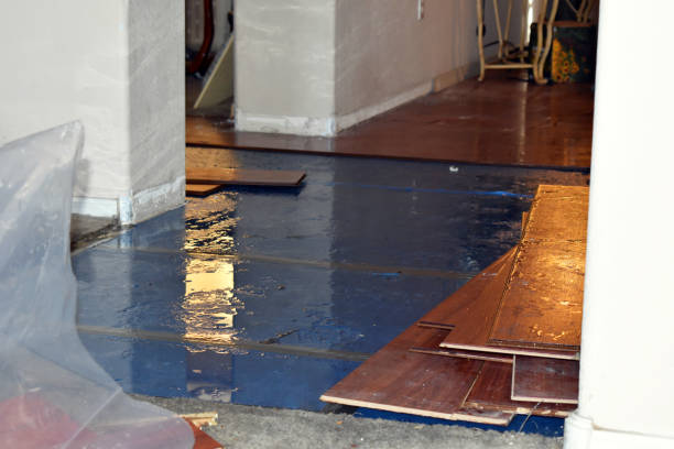 Professional Basement Flood Cleanup technician working in Ward, AR